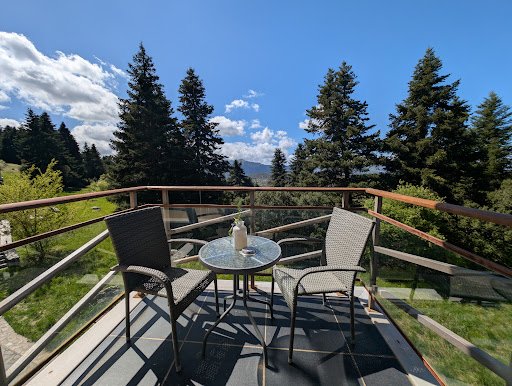 Photo from customer review