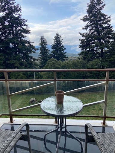 Photo from customer review